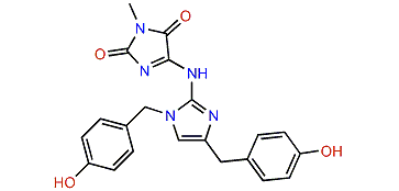 Isonaamidine A